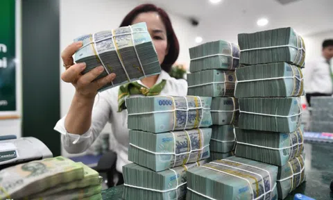 Giám đốc bị tạm hoãn xuất cảnh vì công ty nợ thuế 700 triệu