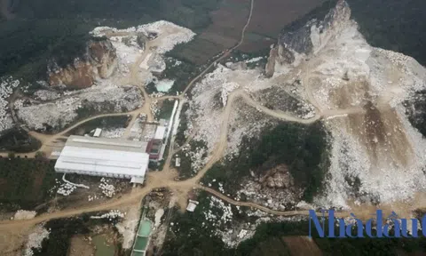 'Rủi ro cao về thuế tại Công ty Toàn Thắng'