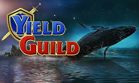 Cách một startup huy động được 12,5 triệu USD trong 31 giây