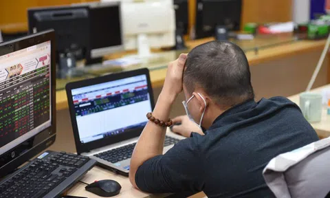 Thấy gì từ 'cơn điên' của dòng tiền?