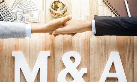 Vì sao Bamboo Capital muốn mua 71% Bảo hiểm AAA?