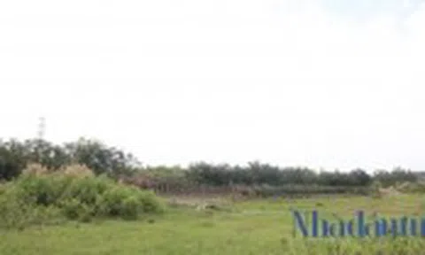 Đầu tư hàng ngàn tỷ đồng, dự án Phước Kiển của Quốc Cường Gia Lai vẫn chỉ là bãi đất trống