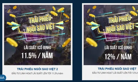 Đấu giá đất 1,1 tỷ USD nhưng Tân Hoàng Minh đang đi vay lãi cao