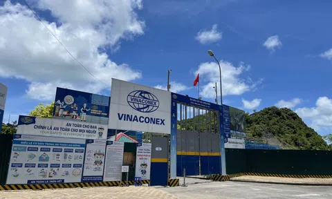 Ông chủ Vinaconex chuyển lô cổ phiếu 14.000 tỷ đồng sang công ty mới