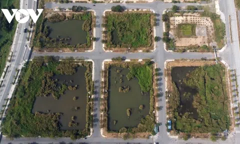 TP.HCM sẽ đấu giá lại lô đất Tân Hoàng Minh bỏ cọc tại Thủ Thiêm