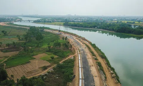 Giả xếp hàng làm thủ tục chuyển nhượng để tạo 'sốt đất' ảo tại Đà Nẵng