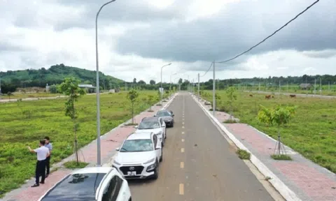 'Cò' đất cay đắng kể chuyện bị lật kèo, cắt hoa hồng môi giới