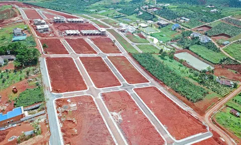 Hậu họa từ loạn phân lô bán nền