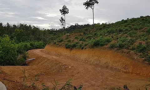 Sau chuyển đổi gần 50ha đất rừng cho Tân Hoàng Minh xây khu nghỉ dưỡng, Hoà Bình tiếp tục chuyển đổi hơn 147ha đất rừng để đầu tư 4 dự án nghỉ dưỡng, nhà ở