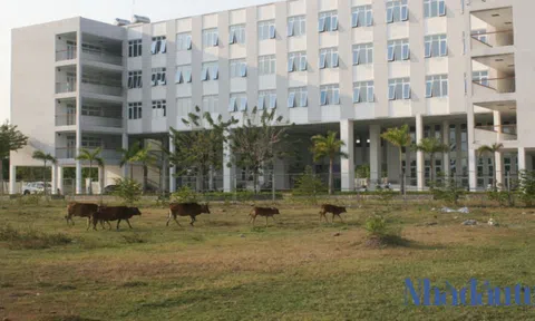 Nhiều dự án ở Đà Nẵng 'ngâm' 20 năm khiến người dân bức xúc