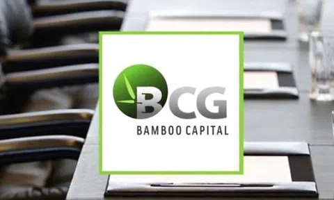 Dồn dập góp vốn 'khủng' vào dự án năng lượng tái tạo, ngân hàng, Bamboo Capital đang làm ăn ra sao?