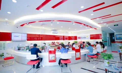 HDBank công bố báo cáo tài chính với lợi nhuận 13.017 tỉ, ROE 24,2%, phát hành báo cáo bền vững 2024