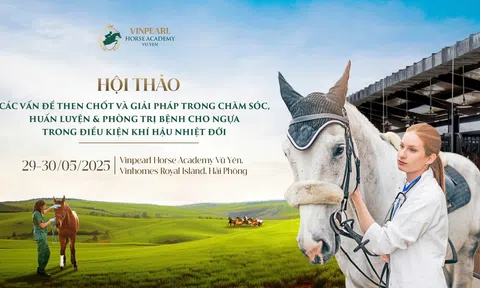 Học viện Cưỡi Ngựa Vinpearl Vũ Yên tổ chức Hội thảo chuyên sâu hàng đầu về ngựa