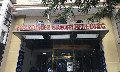 Những 9x nghìn tỷ tại đế chế Vimedimex