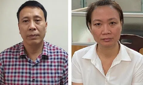 Vụ nâng khống giá cây xanh ở Hà Nội: Bộ Công an bắt thêm 4 bị can