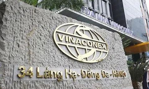 Vinaconex hoạt động ra sao sau 3 năm tái cấu trúc?