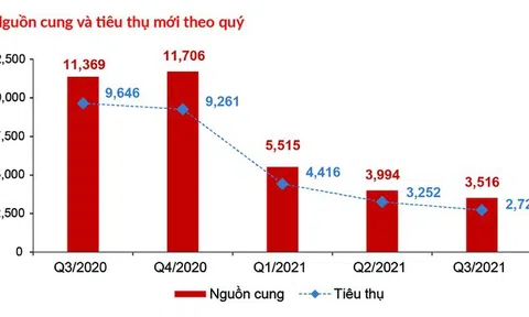 Cuối năm 2021, thị trường bất động sản có 'điểm sáng' nào không?