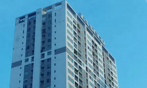 Thấy gì từ dòng tiền của Tập đoàn Taseco?