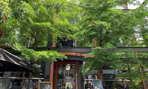 Thấy gì từ việc nhiều doanh nghiệp ngành bán lẻ phải "ngậm ngùi" đóng cửa, trả mặt bằng?