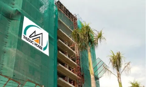 Cổ phiếu TDH bị đưa vào diện kiểm soát đặc biệt