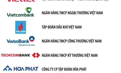 Điểm mặt 10 doanh nghiệp tư nhân lợi nhuận tốt nhất VN năm 2021