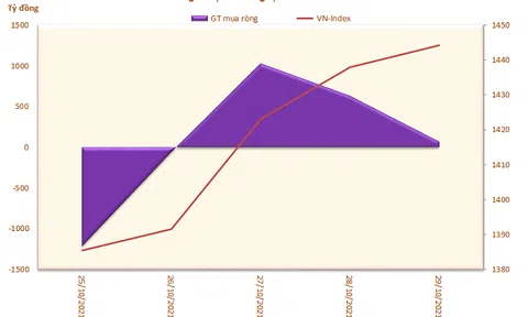 Khối ngoại chấm dứt chuỗi 11 tuần bán ròng trên HoSE, mua ròng trở lại 440 tỷ đồng