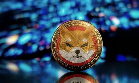 Hồ sơ Shiba Inu, tiền mã hóa vừa vượt mặt Dogecoin