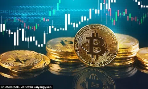 Bắt giữ đối tượng lừa đảo 55 tỷ đồng thông qua sàn giao dịch tiền ảo