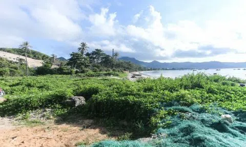 Công an Bà Rịa - Vũng Tàu kết luận “Tập đoàn Tân Hiệp Phát” thông đồng đấu giá