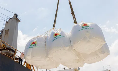 Lộc Trời 'chốt sổ' cuối năm bằng đơn hàng gạo hơn 2 triệu đô đi châu Âu