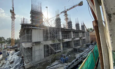 Dự án C-River View của Cường 'Đô la' bị phát hiện nhiều vi phạm