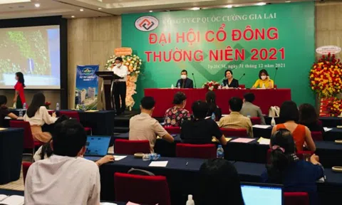 Ai đang là chủ nợ của Quốc Cường Gia Lai?