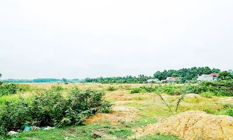 Bảo vệ quyền lợi cho doanh nghiệp trúng đấu giá