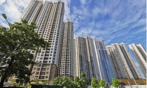 Toàn cảnh 11 dự án của Tân Hoàng Minh đang bị công an xác minh