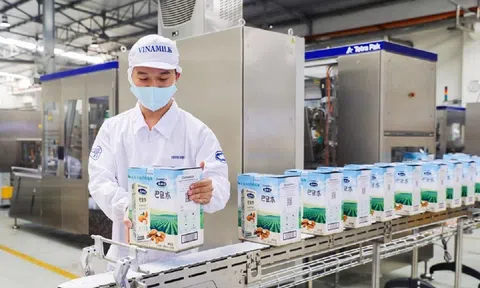 Vinamilk (VNM) nguy cơ "rớt" khỏi top 10 doanh nghiệp giá trị lớn nhất sàn chứng khoán
