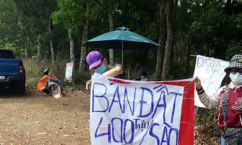 Bình Dương: Bắt 'siêu cò' bất động sản lừa đảo gần 85 tỷ đồng của khách hàng