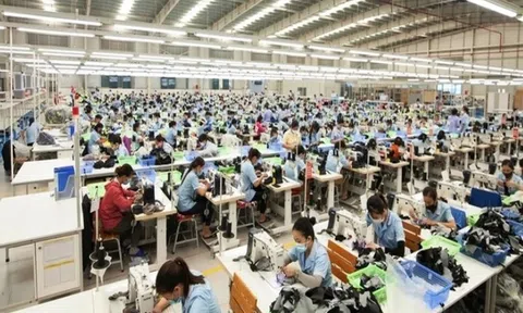 Chân dung doanh nghiệp Hoa Kỳ ‘rót tiền’ đầu tư nhà máy may ở Hà Tĩnh