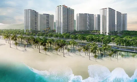 Bất động sản Phát Đạt chính thức động thổ dự án Phước Hải