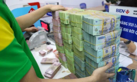 Đầu tư Phúc Hậu hút 400 tỷ qua kênh trái phiếu