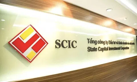 Một cá nhân chi 390 tỷ đồng mua vào toàn bộ cổ phần VIID do SCIC đấu giá