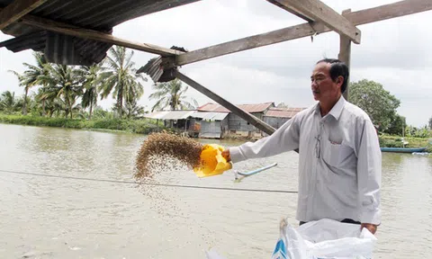 Chuyện Tám Đậu còng lưng nuôi 2.000 tấn cá/năm, ôm tiền tỷ lo chuyện thiên hạ