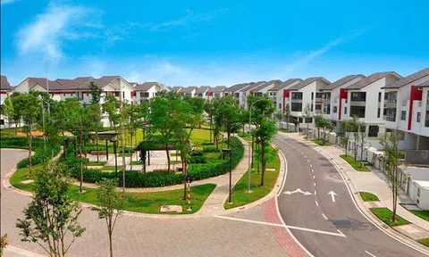 Nhà đầu tư đất nền vùng ven đang bỏ tiền vào đâu?