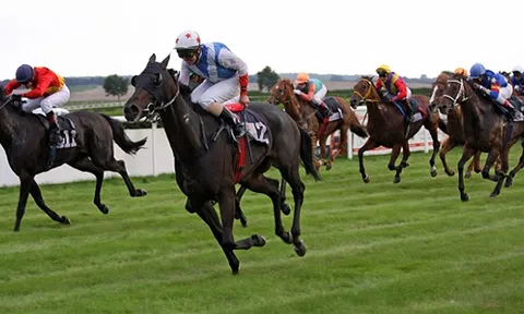 Ngành tiếp thị thể thao Việt Nam đang 'đánh rơi' hàng tỷ đô la?