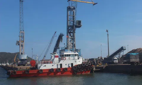 Ông chủ mua cảng Quy Nhơn giá bèo là ai?