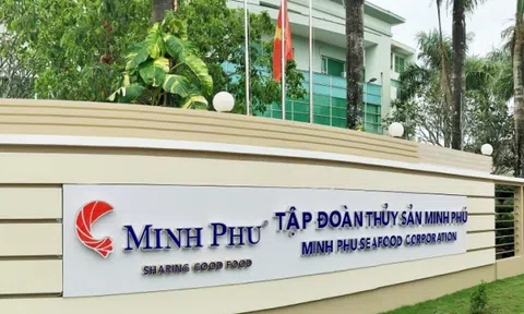 Mất hàng trăm tỷ đồng tại Eximbank, sản nghiệp gia đình 'vua tôm' Minh Phú lớn cỡ nào?