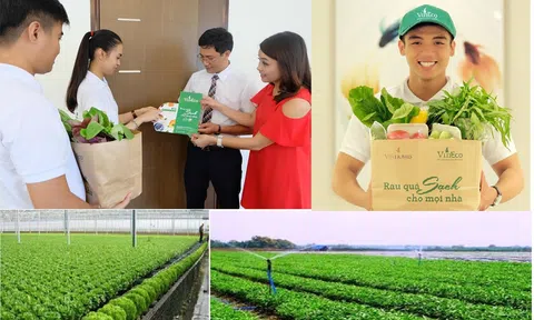 Về với Vingroup, Thức ăn Chăn nuôi Việt Thắng có gì?