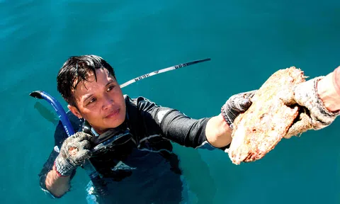 Doanh nhân Hồ Thanh Tuấn: Bước vào vùng nguy hiểm để trở thành ông chủ thương hiệu ngọc trai hàng đầu