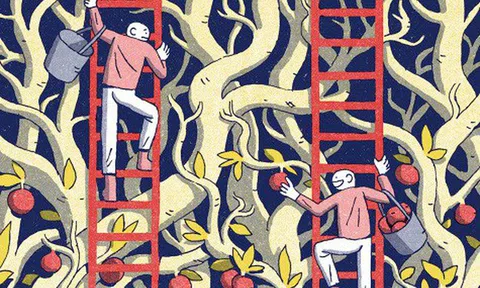 Khủng hoảng sự nghiệp hậu 35: Giỏi, đàng hoàng, chuyên nghiệp không đủ để thành công?