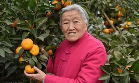 Gừng càng già càng cay: 70 tuổi khởi nghiệp, 85 tuổi đút túi hàng trăm tỷ đồng