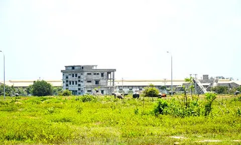 “Trái đắng” đất Bình Dương